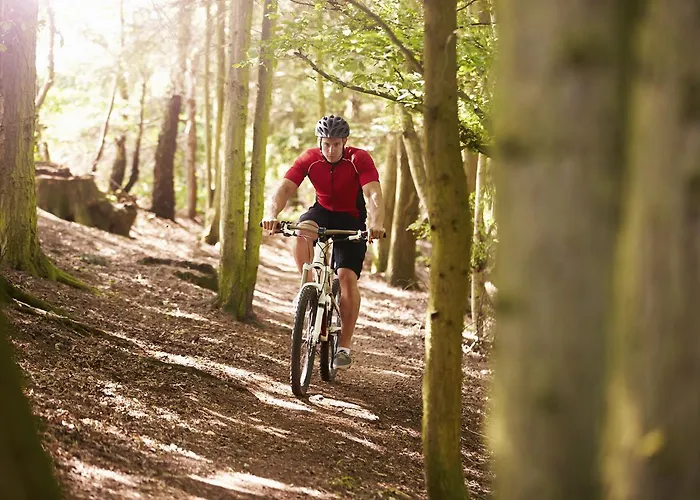 2theimat - & Restaurant 4* מורבאך